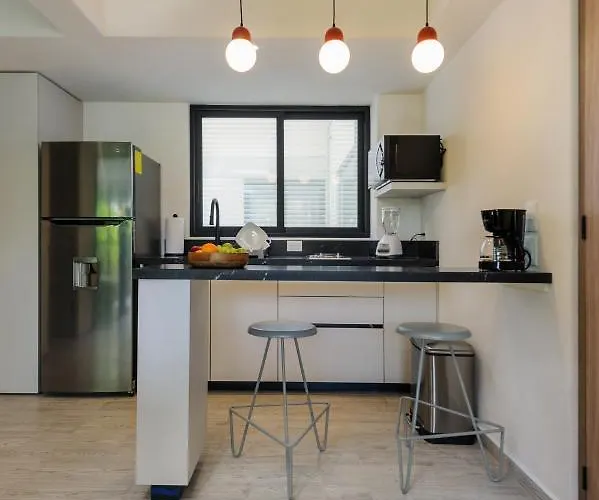 Choapan 28 - Lux In Condesa 墨西哥城